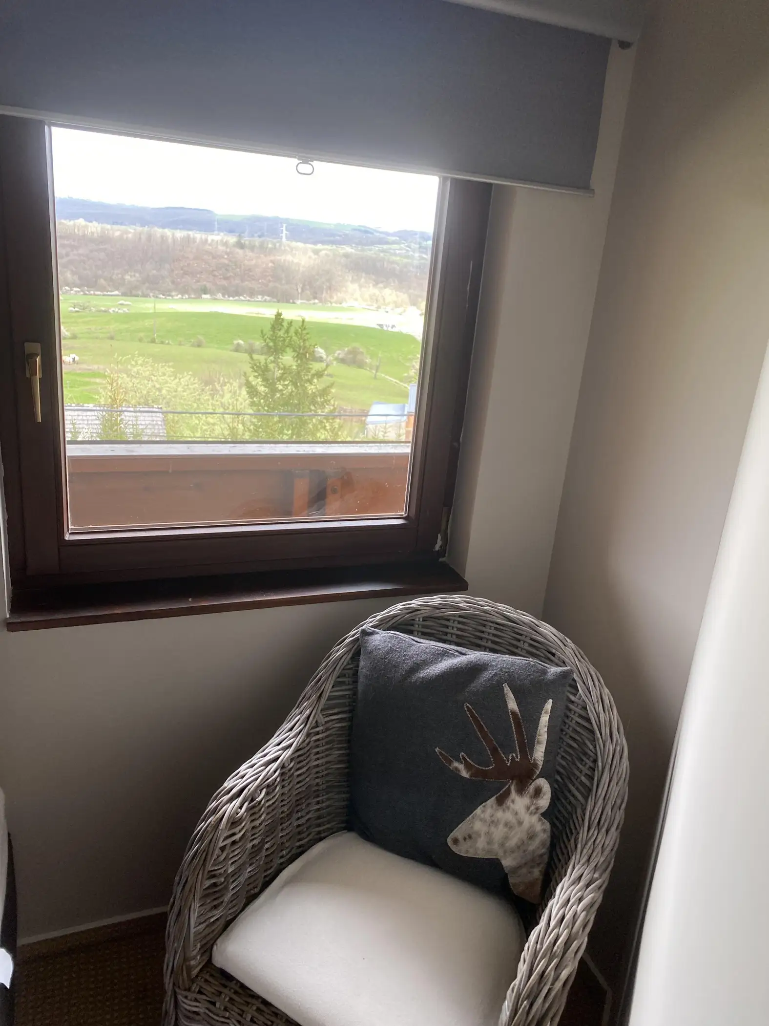 Cottage for 15 people in Beauraing Gîte Le Chalet Suisse